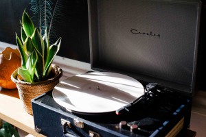 light-vintage-plant-morning 